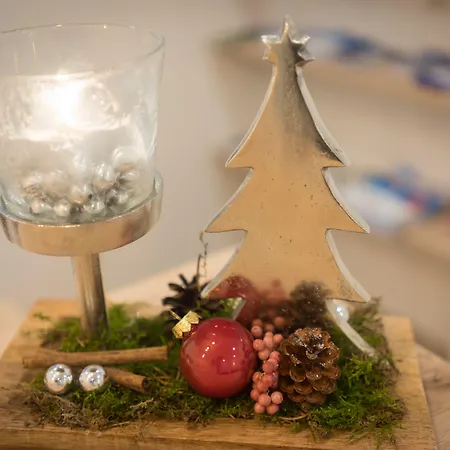 Fernerblick Apartments Guest house