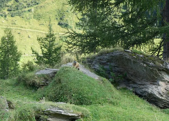 Gasthof Fernerblick 3*